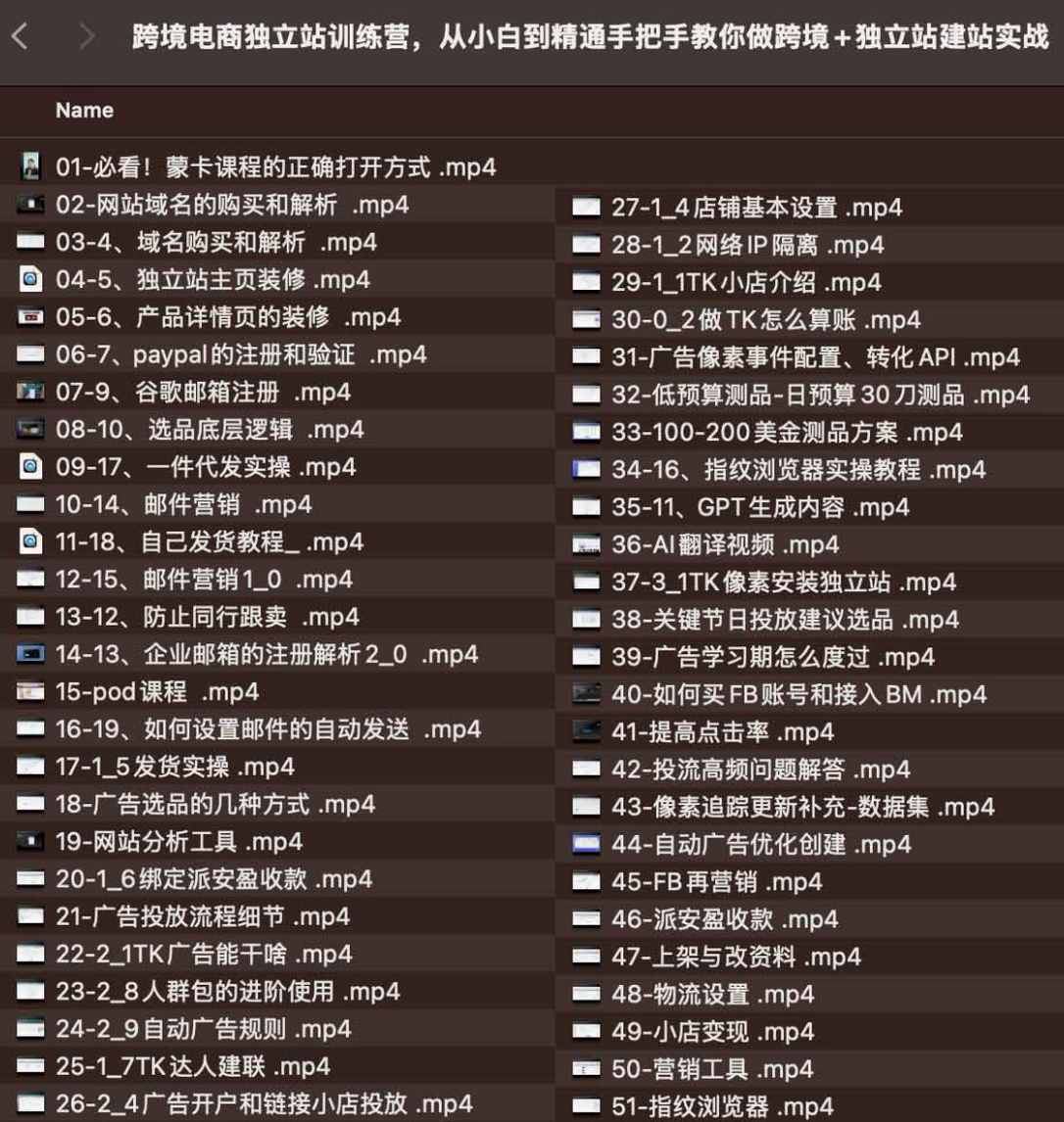 跨境电商独立站训练营完整指南：从零基础到精通实战+独立站建站实战