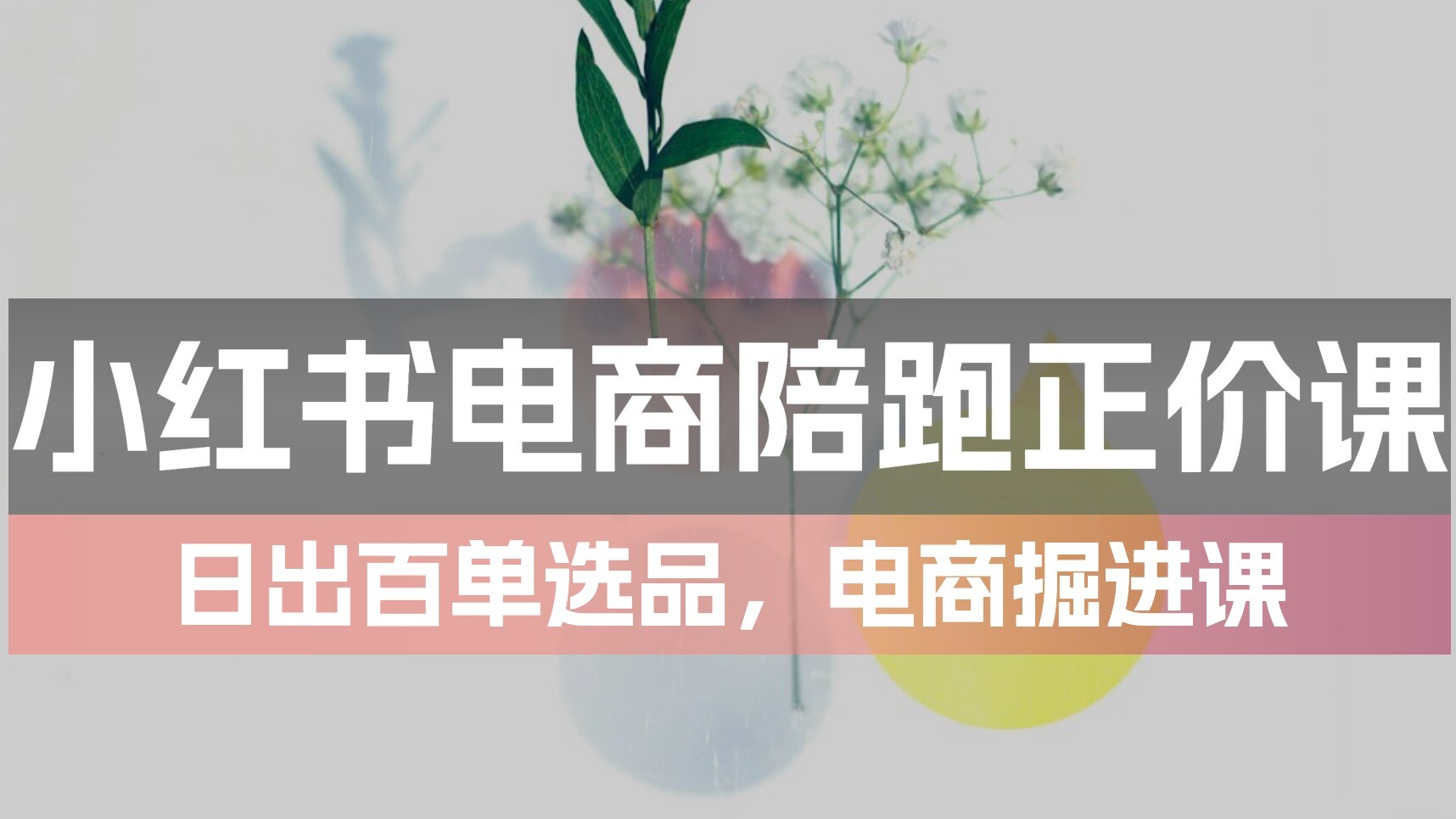 小红书电商陪跑正价课MP4：55节日出百单选品掘进实操