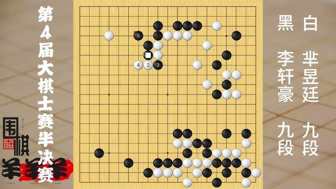 小围棋大人生：黑白之间的智慧与人生战略思考