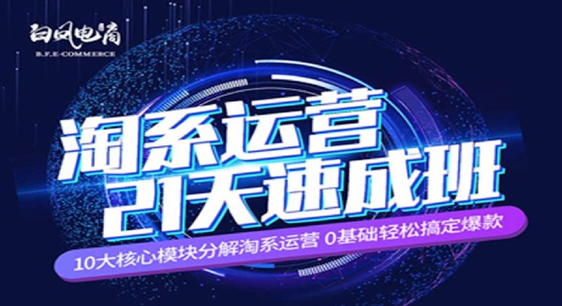 白凤电商：淘系运营21天速成班 – 实战技巧