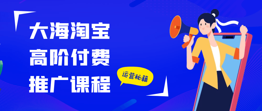 大海淘宝高阶付费推广秘籍：直通车到引力魔方全链路实战