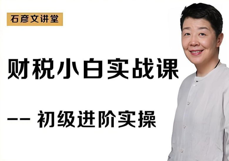 石彦文财税小白实战课，财务会计实操从入门到精通